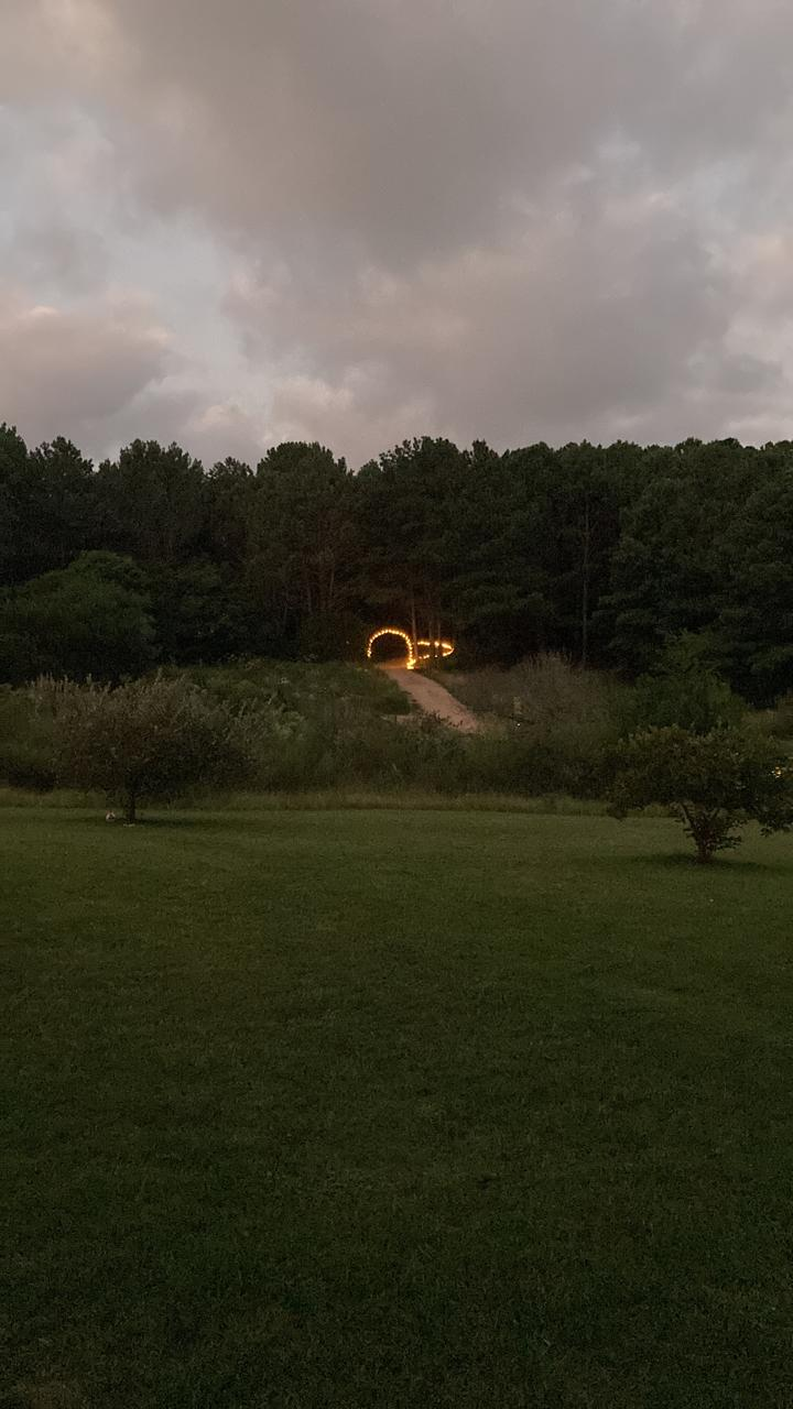 Portal Bosque Illustration